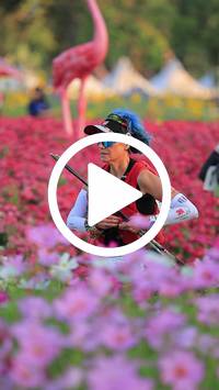 BIB:  <button type="button" onclick="openModal(27583018)" class="btn btn-primary btn-sm float-right" data-toggle="modal" data-target=".modal-high-quality">
                <i class="fa fa-download"></i> Download
                </button>